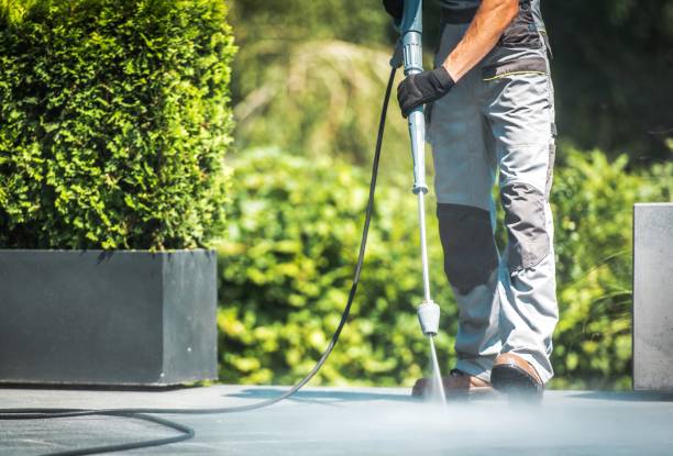 Trusted Cold Spring, MN Pressure Washing Services Experts